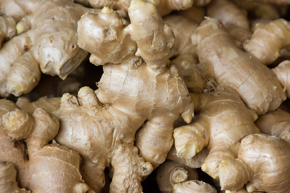 Ginger Root Essential Oil